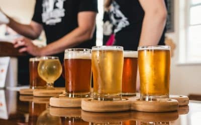 Tipos de cerveza artesana: Categorías y diferencias