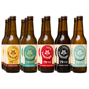 Pack degustación hidromiel beekinga 12 botellines
